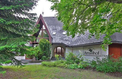 Hinterzarten Apartment | Landhaus Amselhof Hinterzarten Châlet-Studio