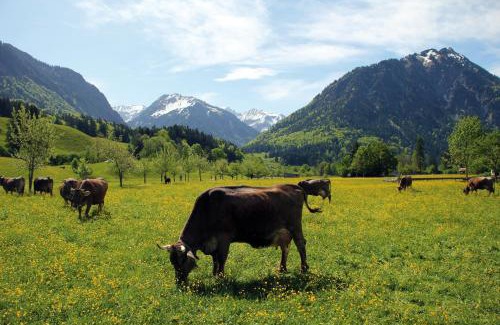 Oberstdorf Apartment | Landhaus Berktold