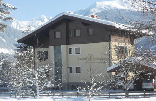 Bad Hofgastein Apartment | Landhaus Schwaiger