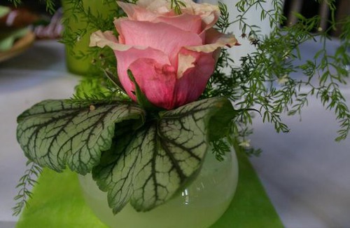 Wallern im Burgenland Hotel | Landhaus Tauber