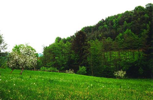 Lassnitzhoehe Bed & Breakfast | Landhaus Waldfrieden