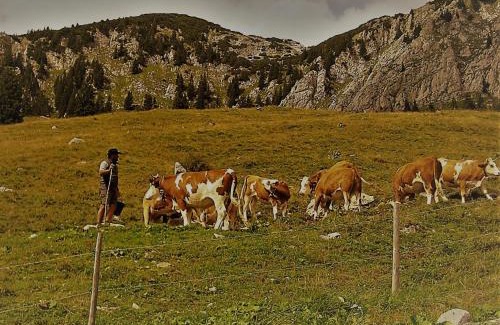Jachenau Hotel | Landhotel zum Staffelwirt