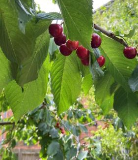 Bletchley Villa | Langham Lake House Milton Keynes - ideal for couples, solo travellers, families