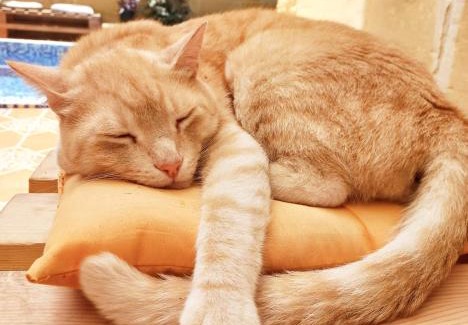 Nadur Bed & Breakfast | Laremi Gozo B&B