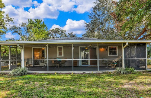 South Venice House | Large backyard, The Tree House