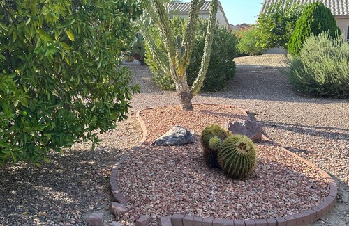 Surprise House | Large backyard with privacy from neighbors, quiet convenient location!