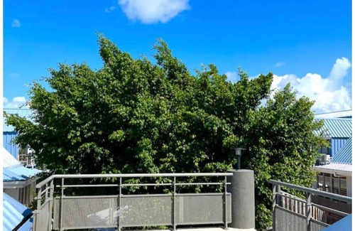 Marigot Apartment | Large central T3, ideal for a family or business stay