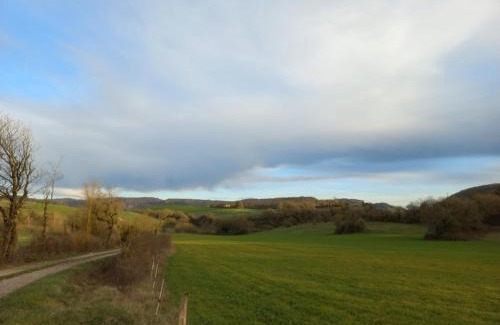 Saint-Beaulize House | Large family home in southern Aveyron