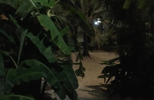 Cas Grandi Apartment | LARGE LUXURY APARTMENT IN A CLASS WITH POOL, VERY TROPICAL, beach