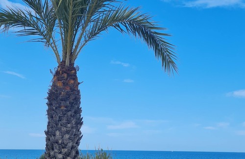 Els Arenals del Sol House | Large roof terrace, barbecue, free WIFI, near the beach and the city of Alicante