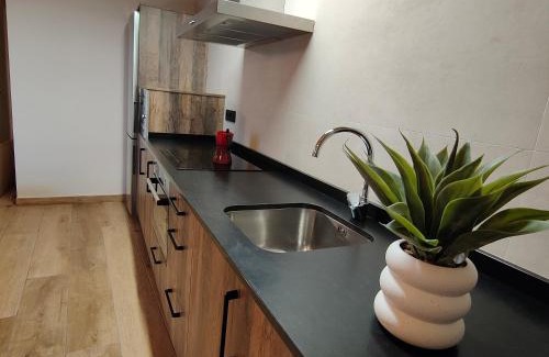 Viacamp House | LAS BORDAS DE MIQUELET