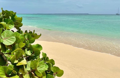 Big Creek House | Las Casitas of Villa Paraiso/Beachfront & Pool