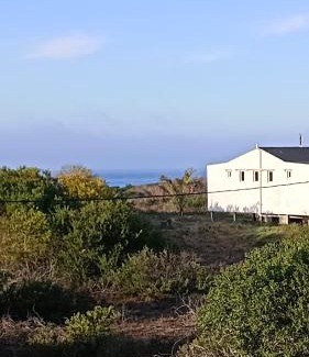 Rocha House | Las Fresias