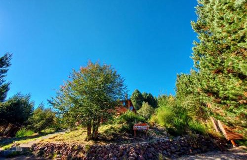 Villa Pehuenia House | Las Retamas