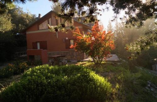 Villa Pehuenia House | Las Retamas