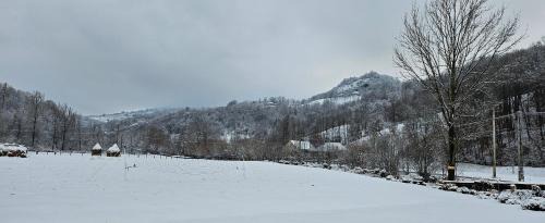 Buces House | LaShura