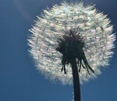 Adaldalur House | Laugar Guesthouse