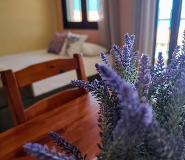 Chrisi Akti Apartment | Lavender Apartments