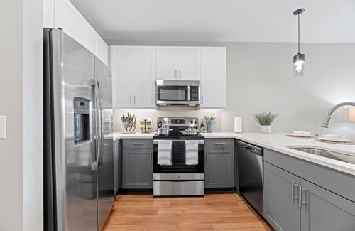 Fort Worth Apartment | Lavish King Bed | Pool+Gym+Stockyards+Free Parking