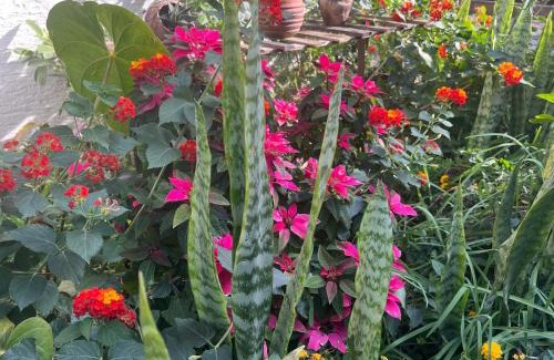 Arusha Apartment | Lavish luxury homes