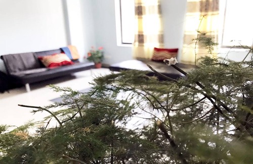 Lazimpat Hotel | Lazimpat Luxury Apartments