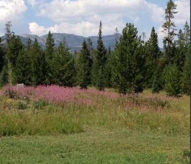 Lazy Acres House | Lazy Fox Cabin