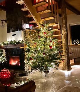 Opalenica Ski Chalet | Leśna Ostoja