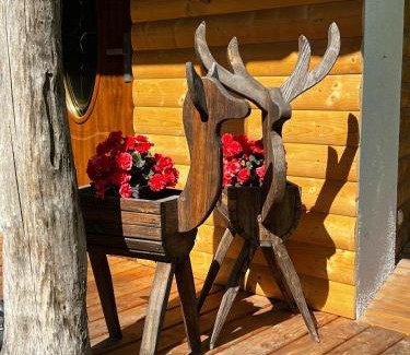 Opalenica Ski Chalet | Leśna Ostoja