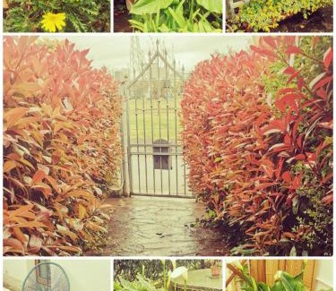 Pisa Apartment | LE 7 CALLE