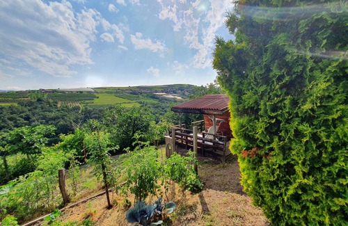 Genilac Apartment | LE BOISÉ GÉNILOIS - Countryside-Chic-Air-Conditioned