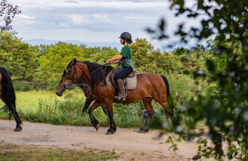 Loubeyrat House | Le Bosquet des Dômes - Panorama des Puys à Cheval