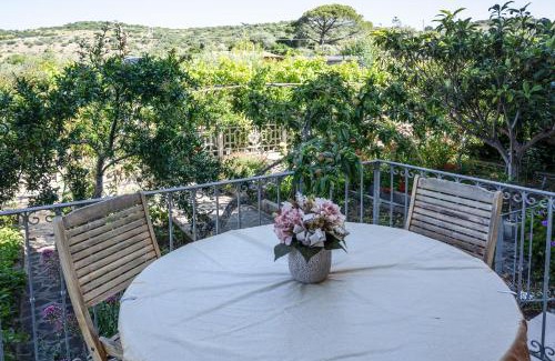 Modolo Apartment | Le Case nel Vitigno - Modolo
