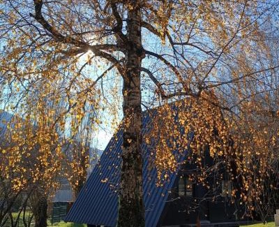 Cierp-Gaud Ski Chalet | Le ChAlet N5