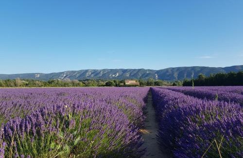 Viens Apartment | Le Cosy Luberon - Viens