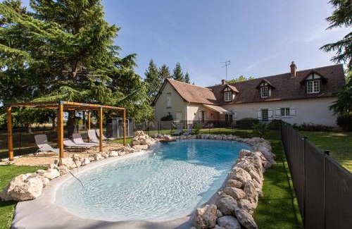 Huisseau-sur-Mauves House | Le Domaine de Baracas 4 étoiles - Le Grand et le Petit Gîte - piscine-SPA-billard-baby-foot-cheminée - 18 personnes