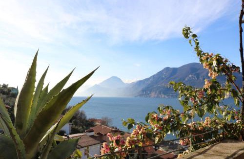 Porto House | Le Due Terrazze