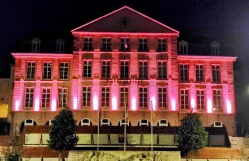 Bitche Apartment | Le DUPLEXX