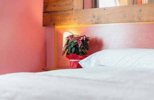 Romano d'Ezzelino Bed & Breakfast | Le Fate Corbezzole B&B - Euphrasia