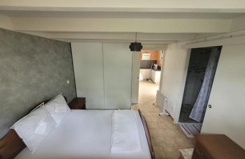 Saint-Arroumex House | Le gite de Gayssanes