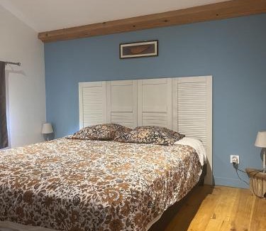 Sainte-Foy-Saint-Sulpice House | Le gite nature et spa