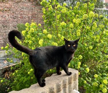 Belleville Bed & Breakfast | Le Grand Maulnes