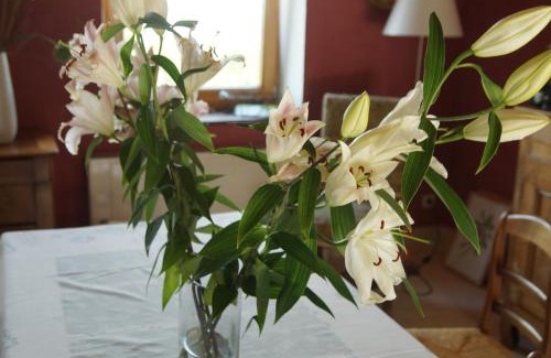 Roisey Bed & Breakfast | Le Grand Noë