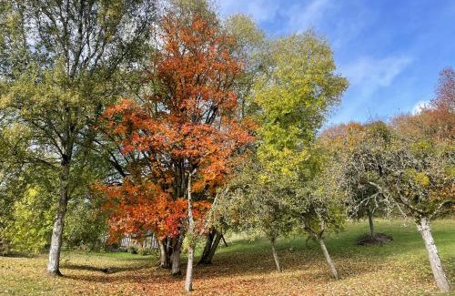 Les Champeaux House | Le Hameau des Prés-Verts, un séjour détente et bien être pour les amoureux de la nature au cœur du Pays d'Auge, en Normandie