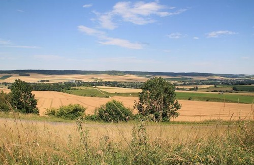 Mesnil-Follemprise House | Le Haut Mesnil - 3