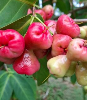 L'Autre-Bord House | Le Havre du Voyageur - le Balaou