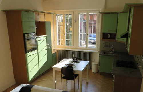 Mulhouse Apartment | Le Magnolia: 2 rooms with private garage and access to the shaded garden