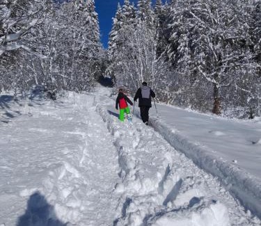 Bellegarde-sur-Valserine Apartment | Le Manant