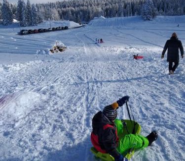 Bellegarde-sur-Valserine Apartment | Le Manant