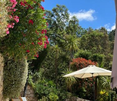 La Garde-Freinet Apartment | Le Mouron Rouge