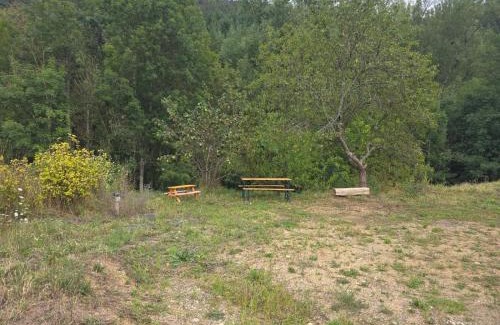 Saint-Martin-de-Valamas Ski Chalet | Le nid de l Eyrieux